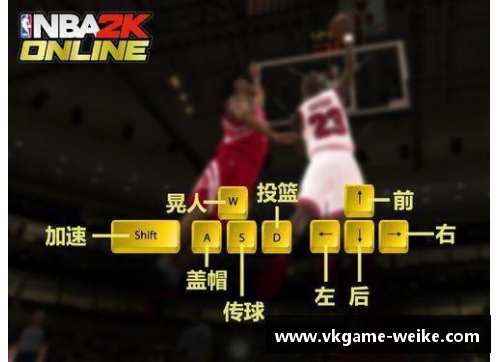 NBA2KOL：特伦斯·罗斯的全新球场探索